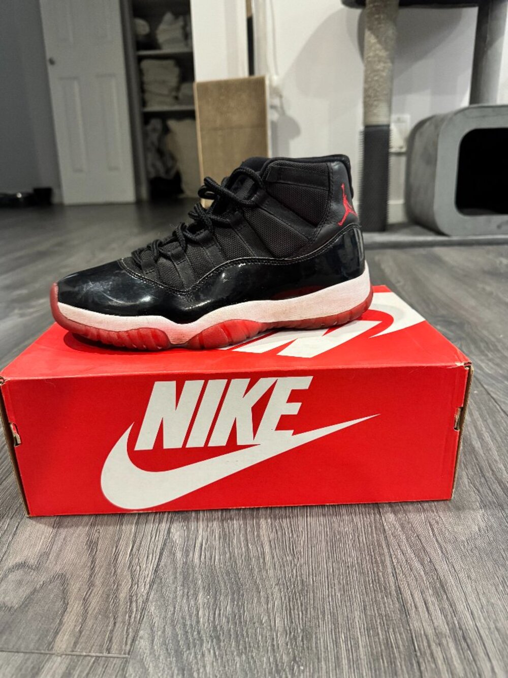 Jordan 11 Bred